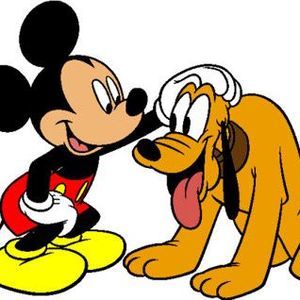 Meet your Posher, Rose